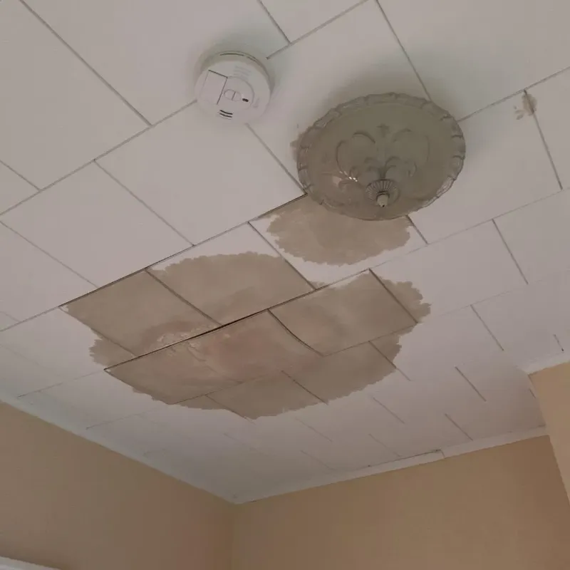 Ceiling Water Damage Repair in Cuero, TX
