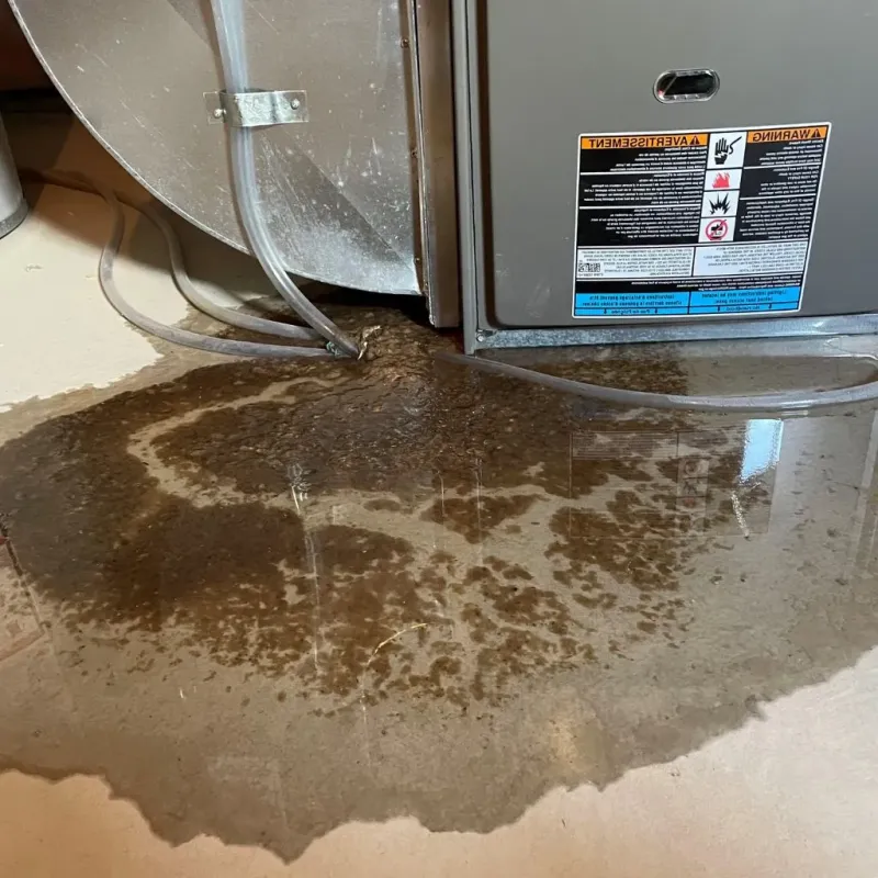 Pipe Burst and Leak Restoration in Cuero, TX