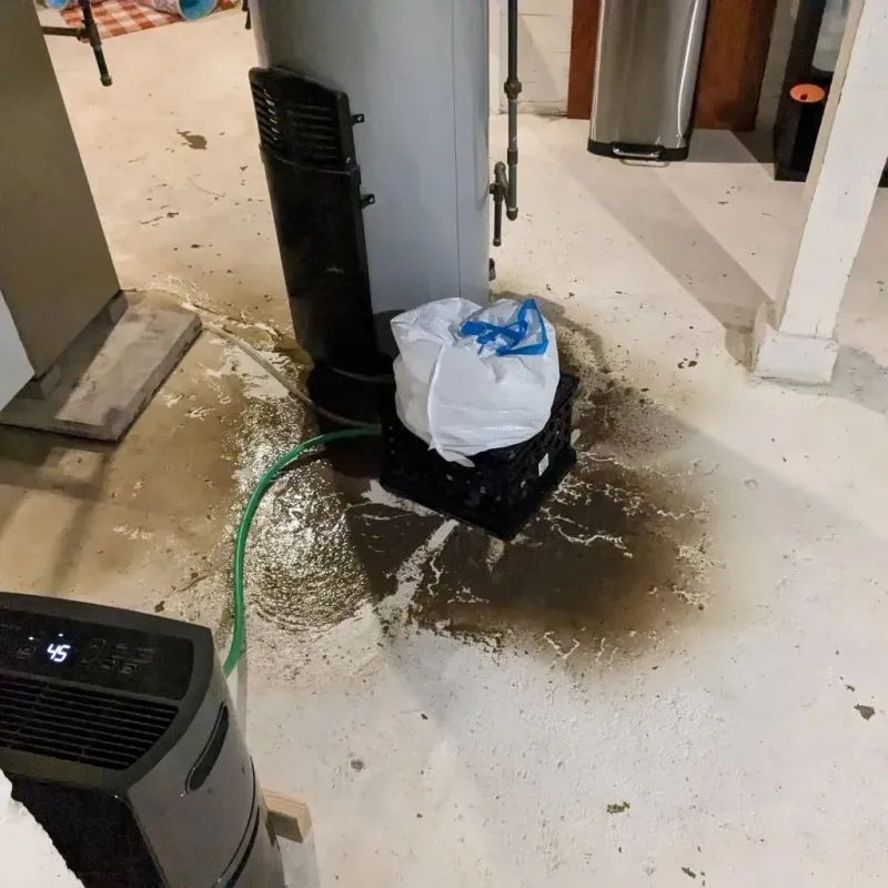 Sewage Backup Cleanup Service in Cuero, TX